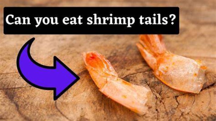 Can a shrimp sting you?