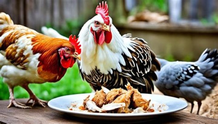 Can Hindus eat chicken?