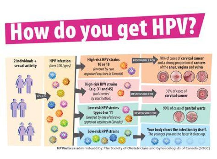Can HPV go away in 6 months?
