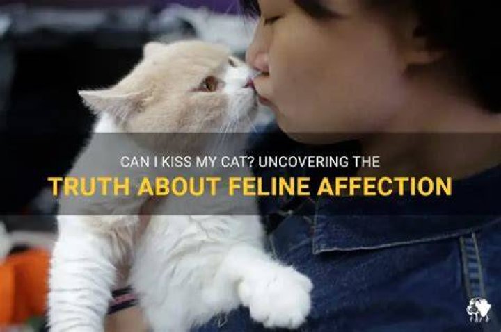 Can I kiss my cat?