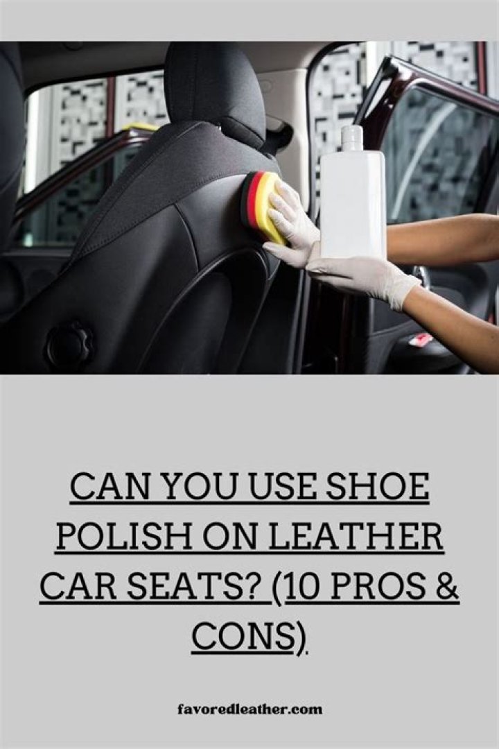 Can you use shoe polish on car interior?