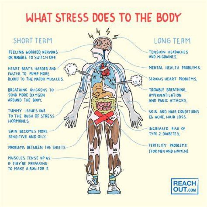 Can your body shut down from anxiety?