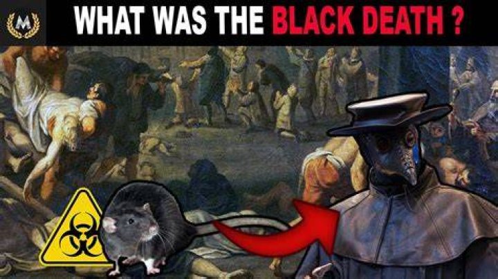 Could the Black Death have been a virus?