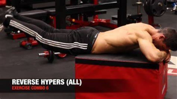 Do reverse Hypers build muscle?