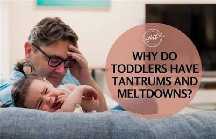 Do smart toddlers have more tantrums?