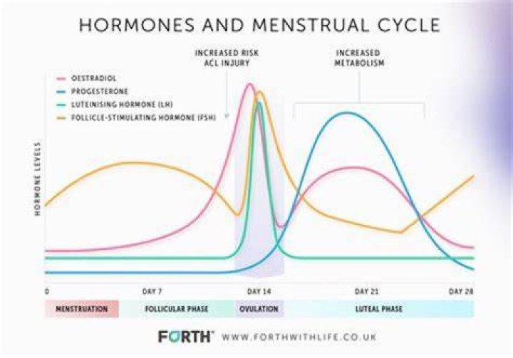 Does soy milk affect estrogen levels?