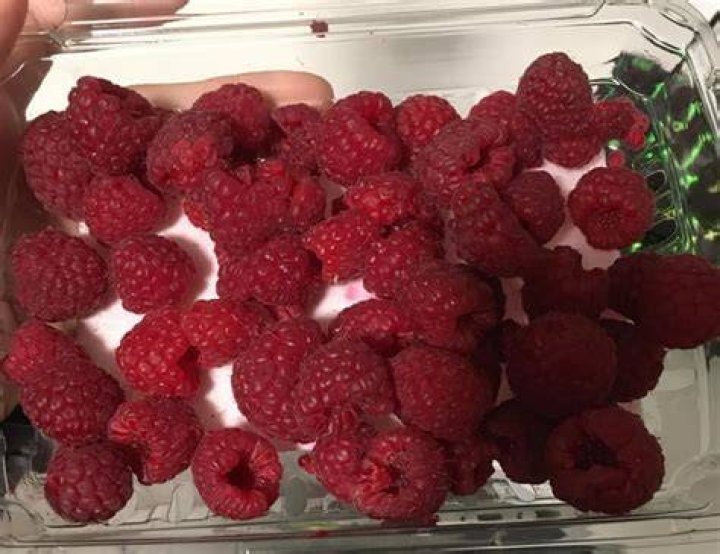 How do I know if my raspberries are moldy?