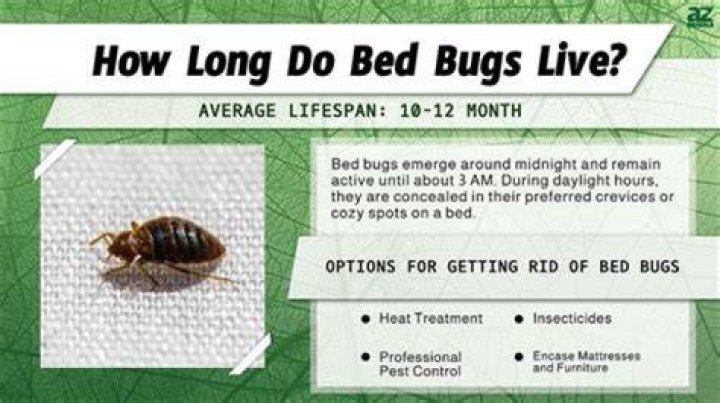 How Long Will bed bugs stay in one room?