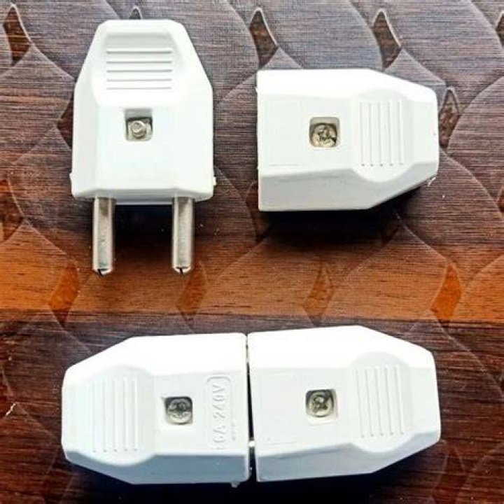 Is Switch male or female?