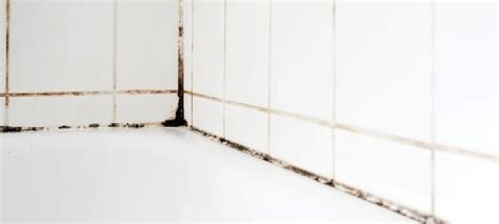 Is the mold in my shower toxic?