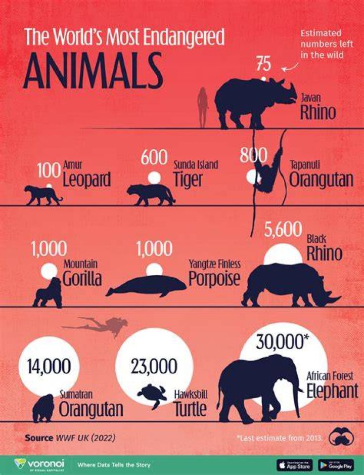 What animal is almost extinct?