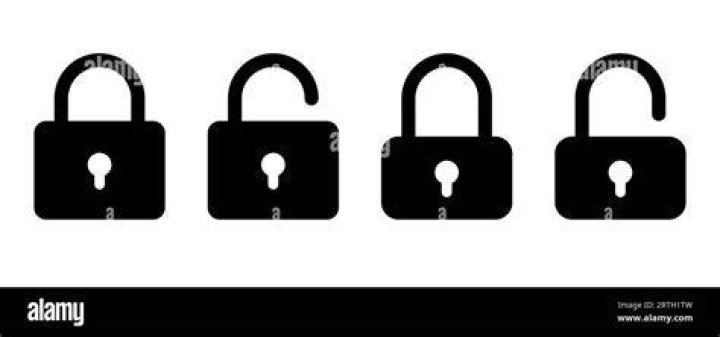 What does a black padlock on a website mean?