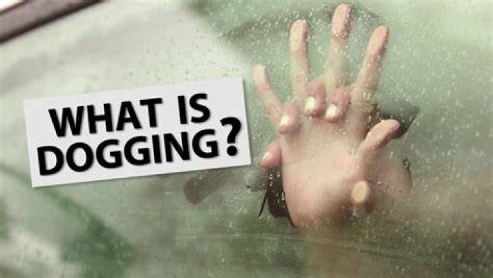 What does dogging someone mean?