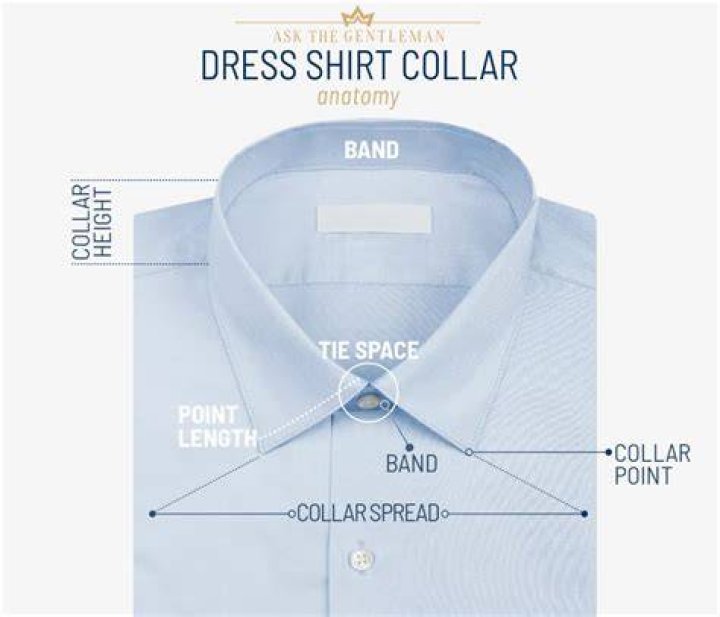 What does gold collar mean?