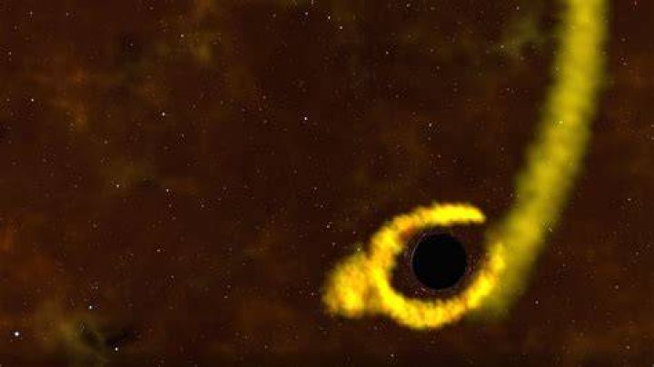 What if you survived a black hole?