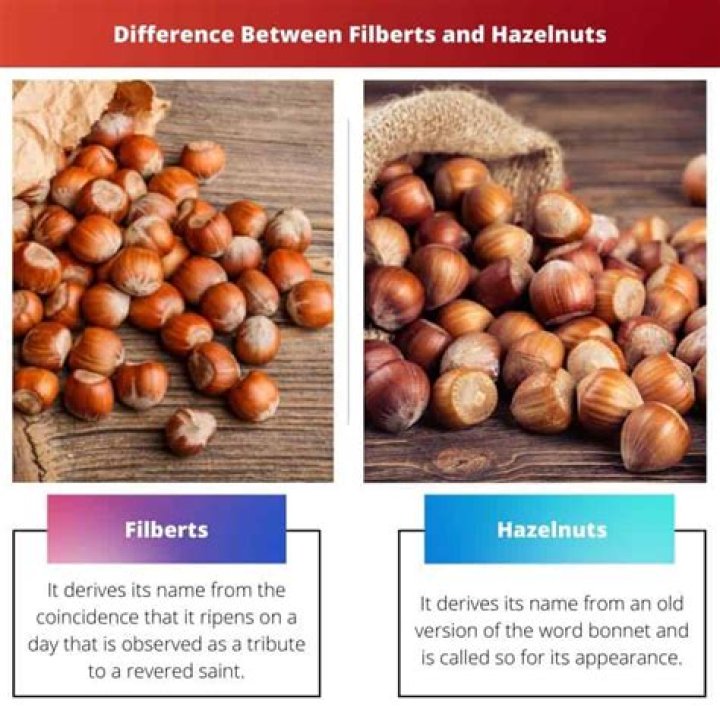 What is the difference between chestnut and hazelnut?