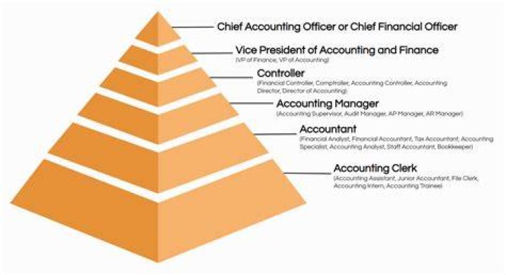What is the lowest position in accounting?