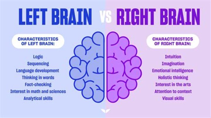 Who is smarter left or right brain?