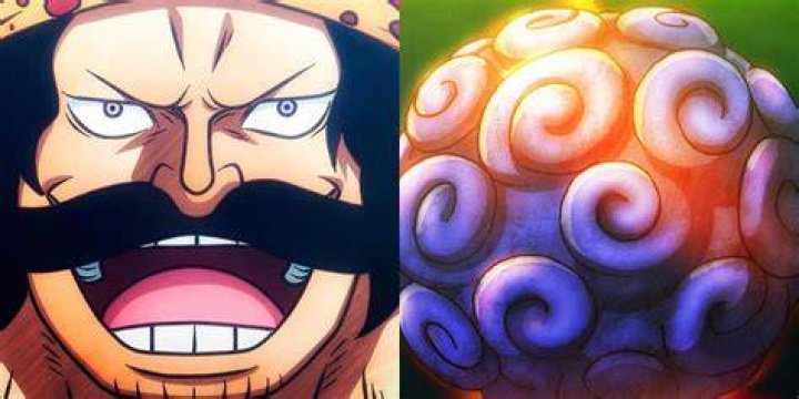 Who was previous owner of Gomu Gomu no Mi?