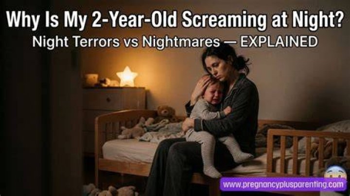 Why does my 2 year old scream when I put him to bed?