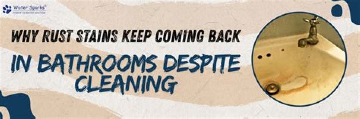 Why does rust keep coming back?